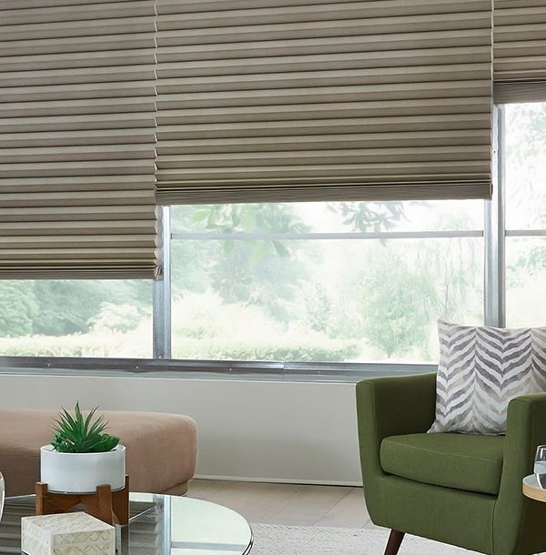 Best Blinds Examples